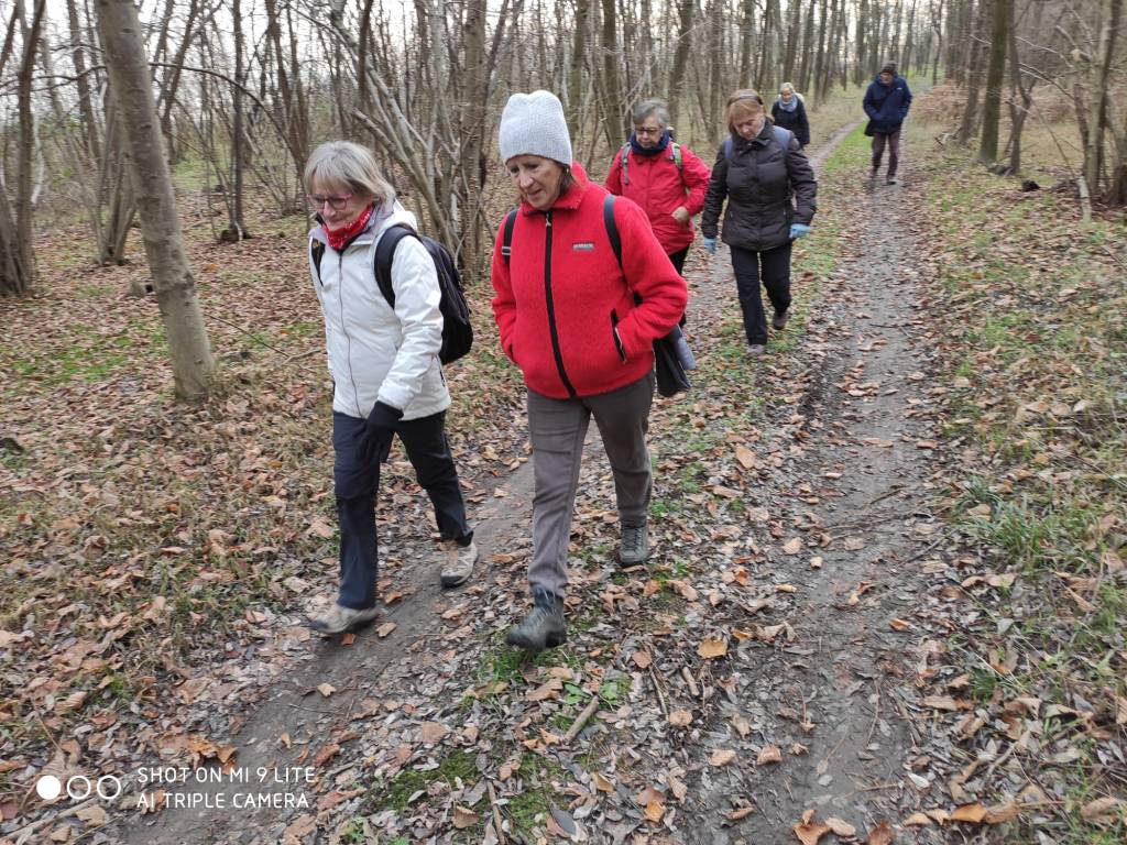 Questa immagine ha l'attributo alt vuoto; il nome del file è cammino-4.jpg