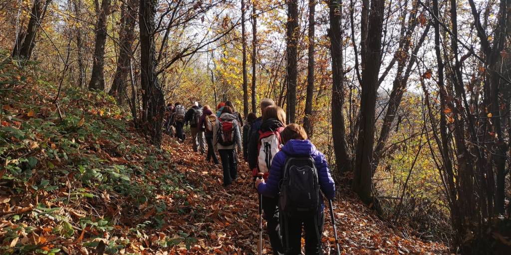 Questa immagine ha l'attributo alt vuoto; il nome del file è cammino-5.jpg